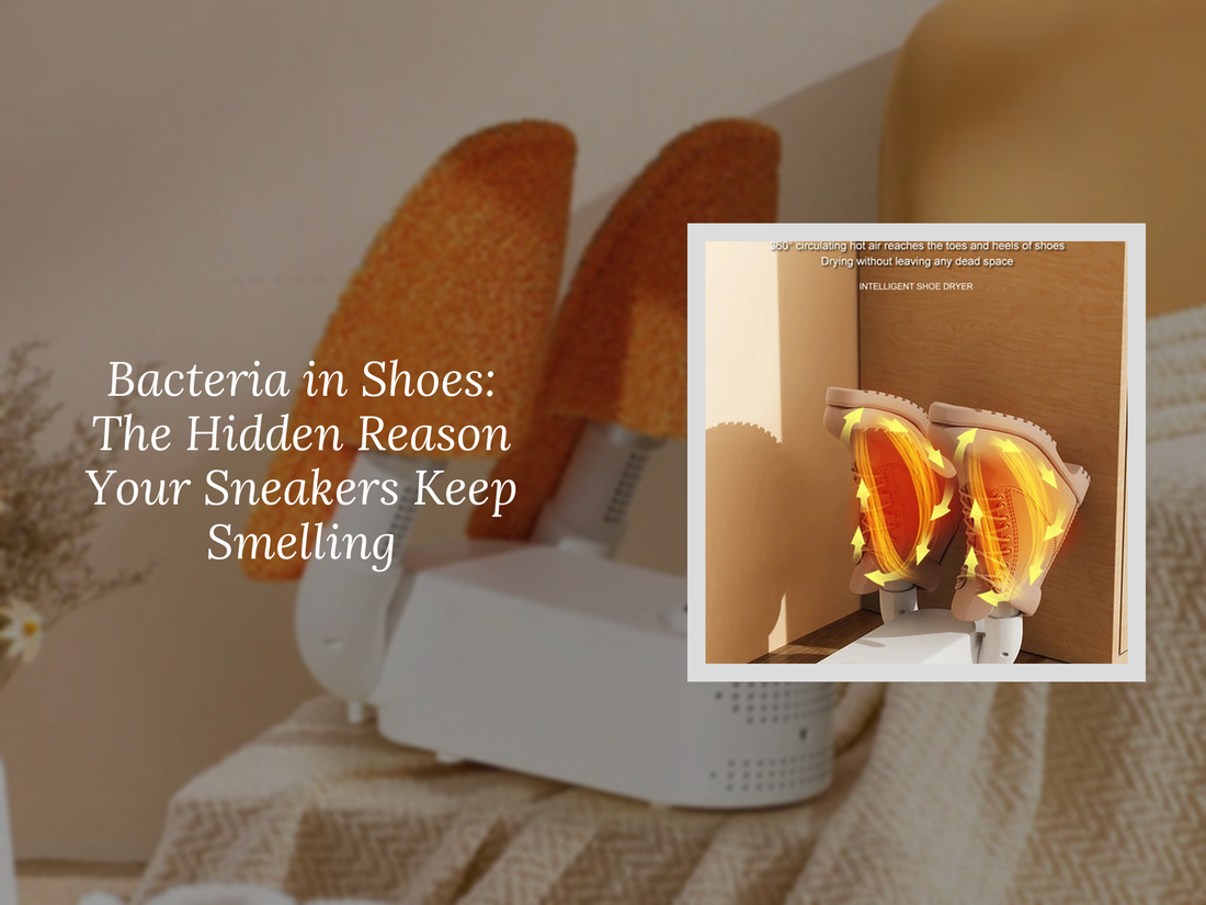 Bacteria in Shoes: The Hidden Reason Your Sneakers Keep Smelling