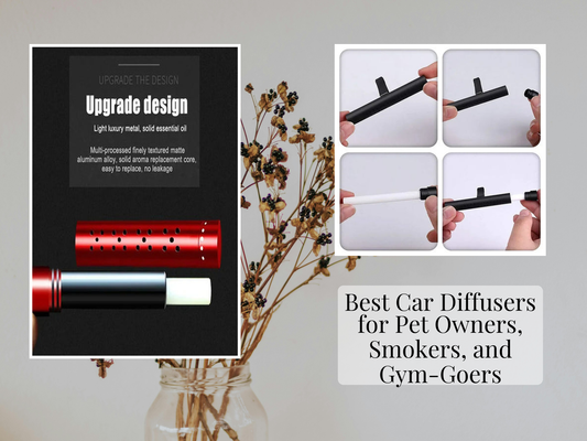 Best Car Diffusers for Pet Owners, Smokers, and Gym-Goers