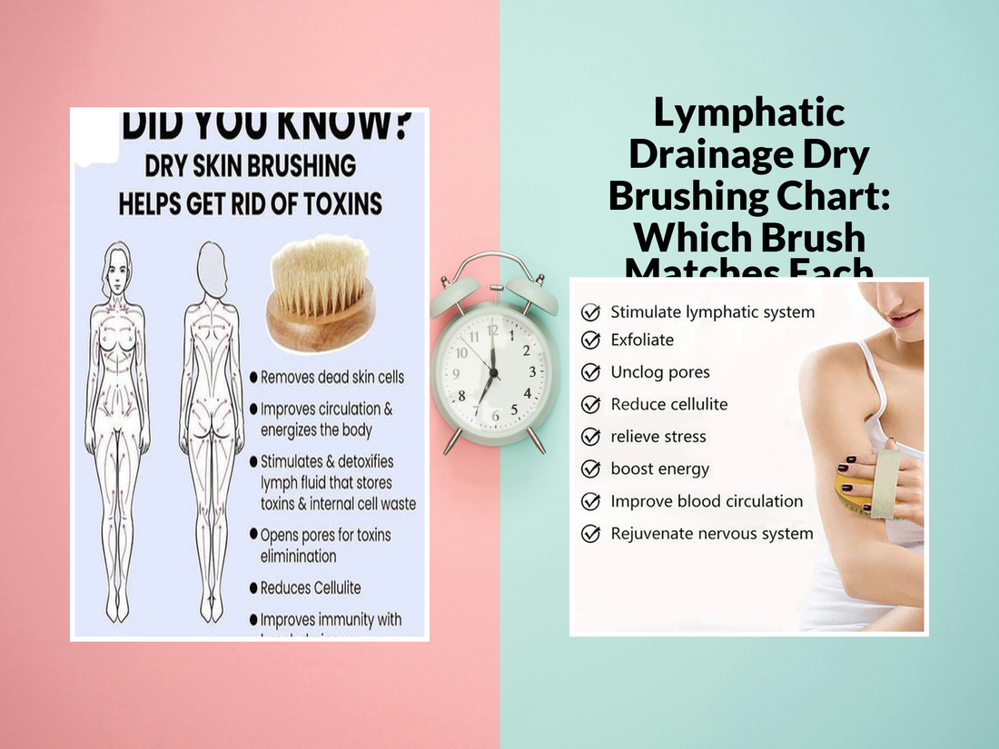 Lymphatic Drainage Dry Brushing Chart: Which Brush Matches Each Zone?
