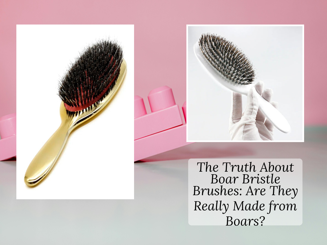 The Truth About Boar Bristle Brushes: Are They Really Made from Boars?
