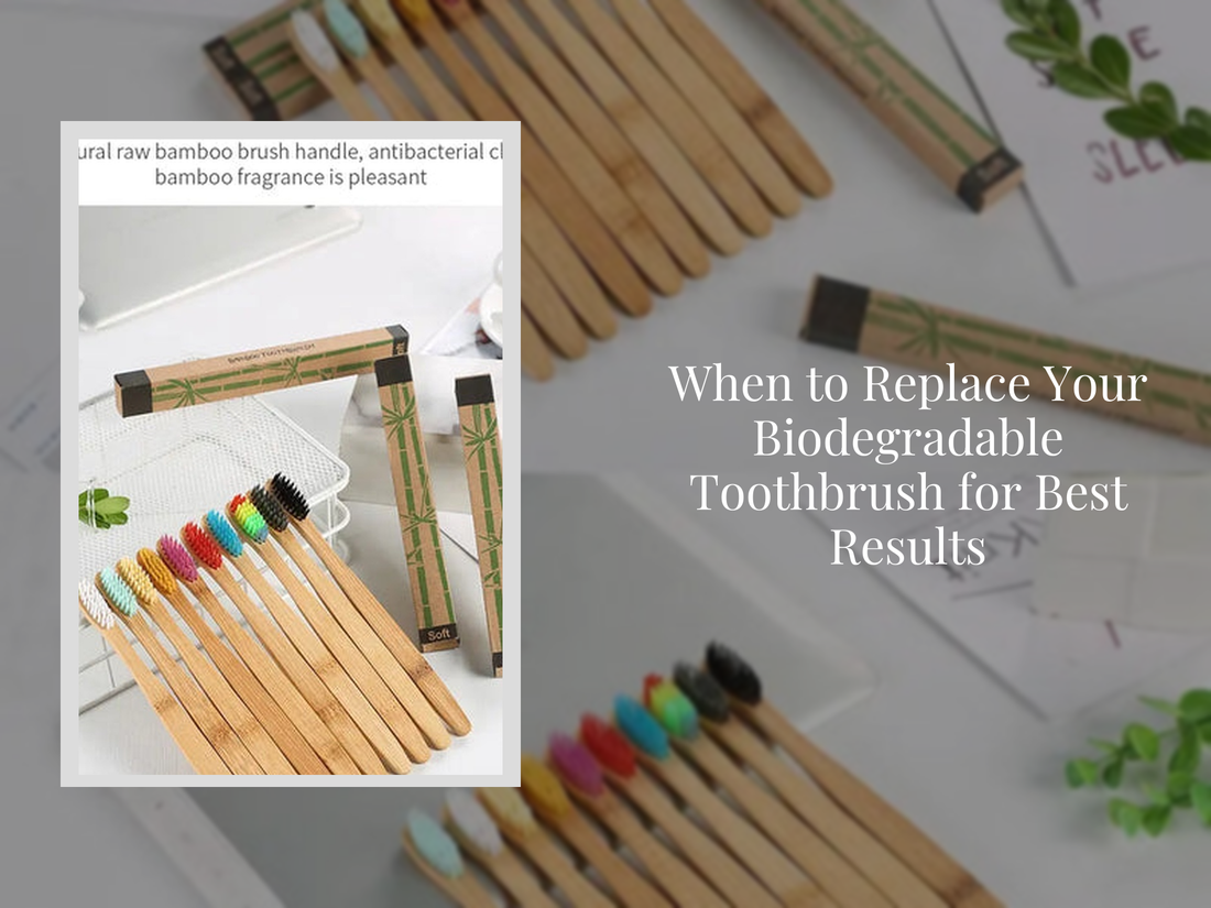 When to Replace Your Biodegradable Toothbrush for Best Results