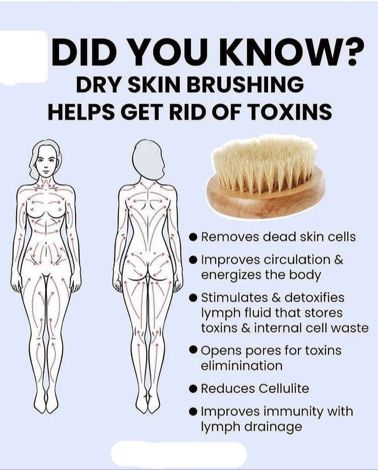 KentDO™ Wooden Body Brush – Soft Bristle Exfoliation