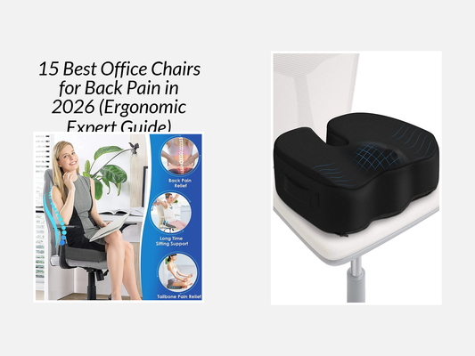 15 Best Office Chairs for Back Pain in 2026 (Ergonomic Expert Guide)