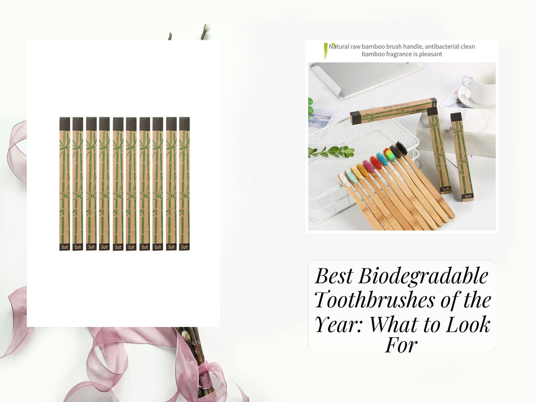 Best Biodegradable Toothbrushes of the Year: What to Look For