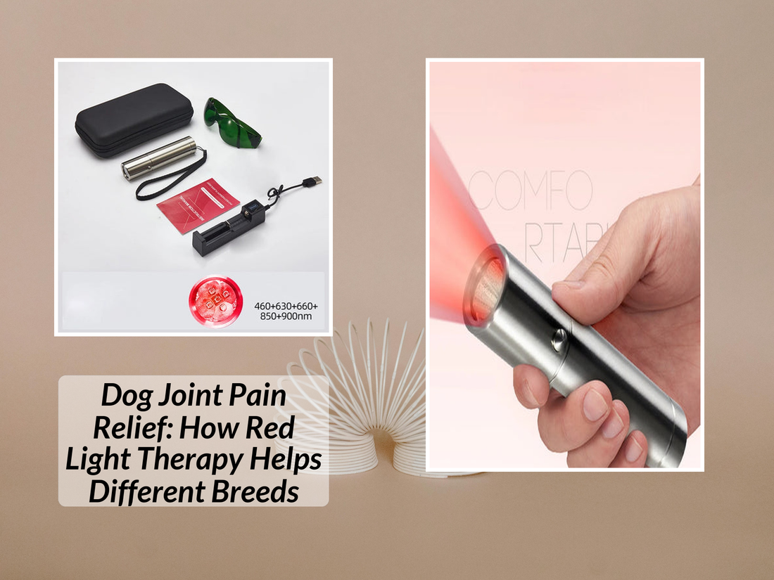 Dog Joint Pain Relief: How Red Light Therapy Helps Different Breeds
