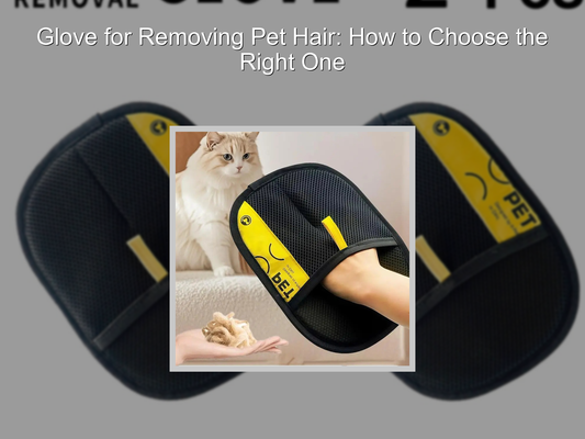 Glove for Removing Pet Hair: How to Choose the Right One