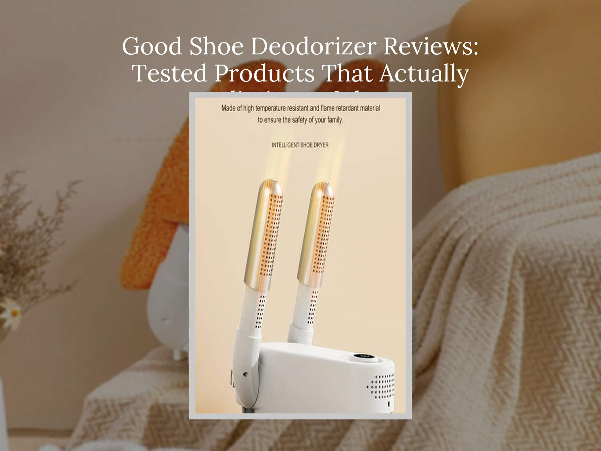 Best Shoe Deodorizer for Stubborn Odor: 10 Tested Winners – KentDO ...