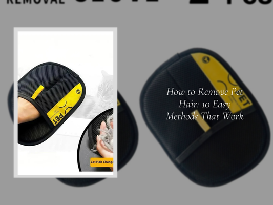 How to Remove Pet Hair: 10 Easy Methods That Work