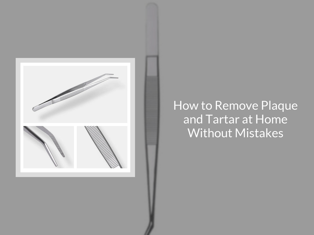 How to Remove Plaque and Tartar at Home Without Mistakes