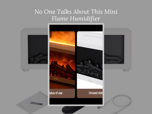No One Talks About This Mini Flame Humidifier