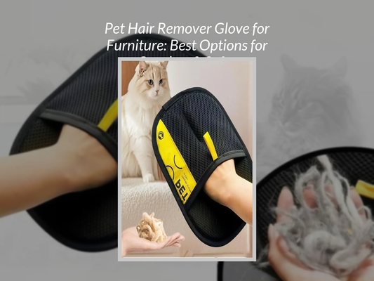 Pet Hair Remover Glove for Furniture: Best Options for Couches & Sofas