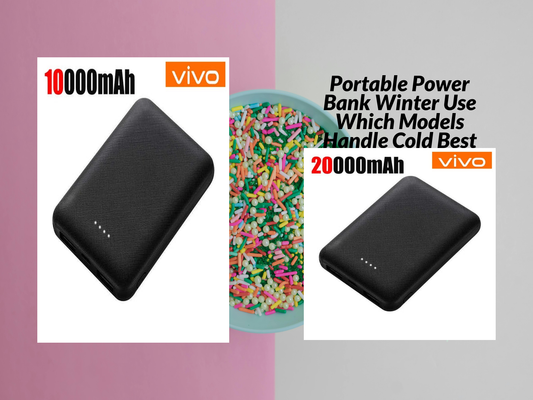 Portable Power Bank Winter Use Which Models Handle Cold Best