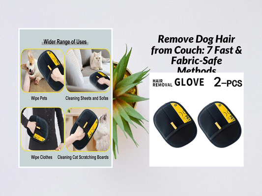 Remove Dog Hair from Couch: 7 Fast & Fabric-Safe Methods