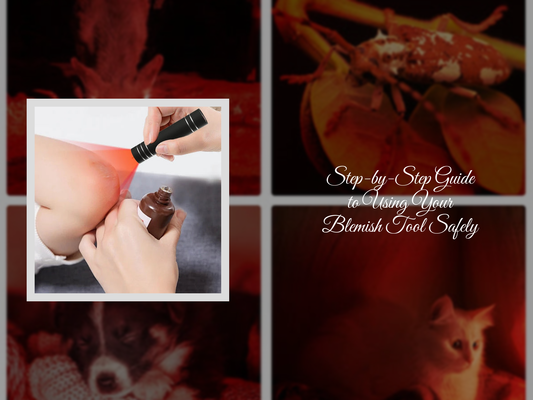 Step-by-Step Guide to Using Your Blemish Tool Safely