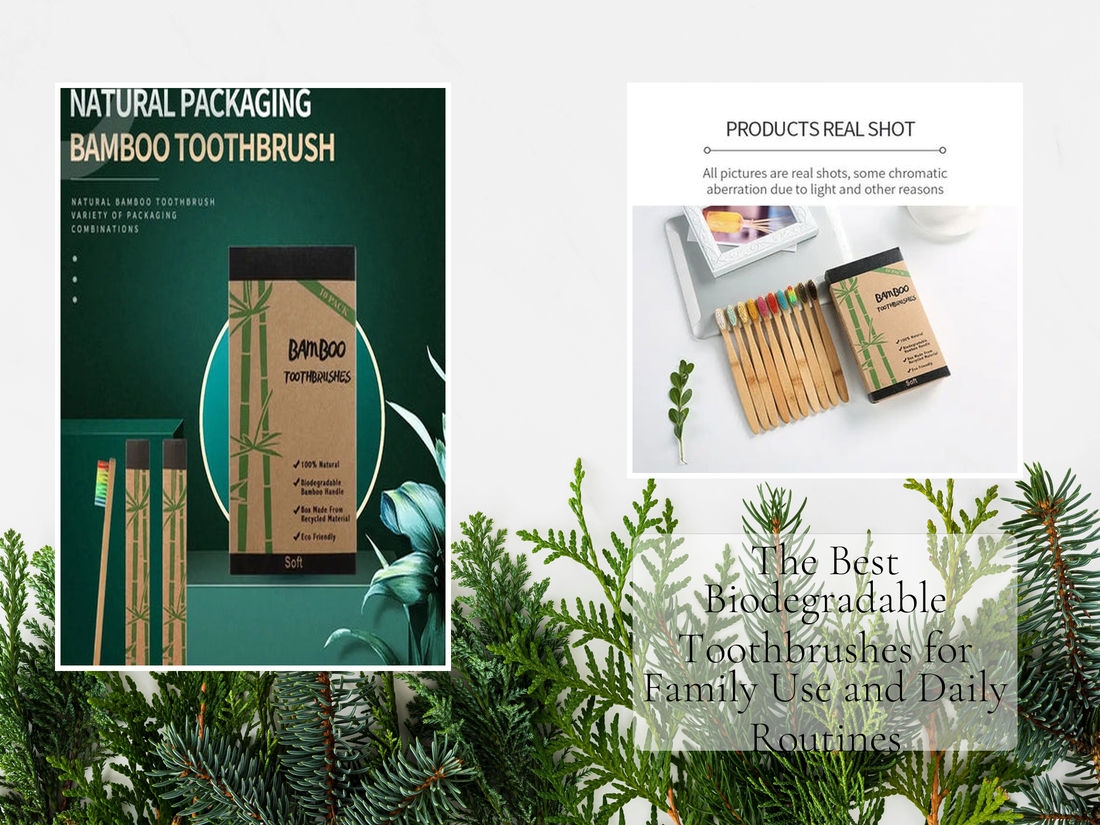 The Best Biodegradable Toothbrushes for Family Use and Daily Routines