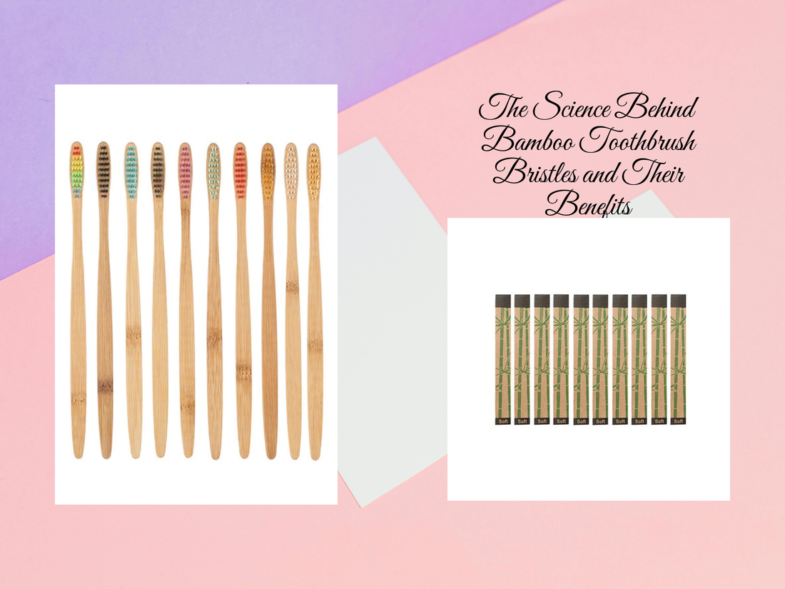 The Science Behind Bamboo Toothbrush Bristles and Their Benefits