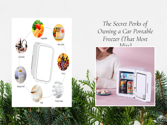 The Secret Perks of Owning a Car Portable Freezer (That Most Miss)