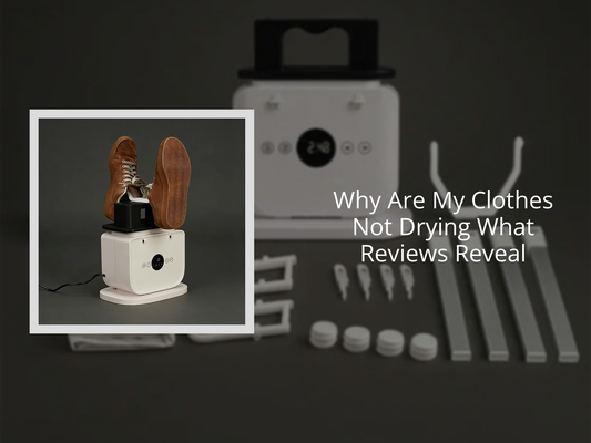 Why Are My Clothes Not Drying What Reviews Reveal