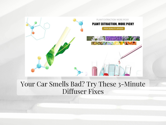 Your Car Smells Bad? Try These 3-Minute Diffuser Fixes