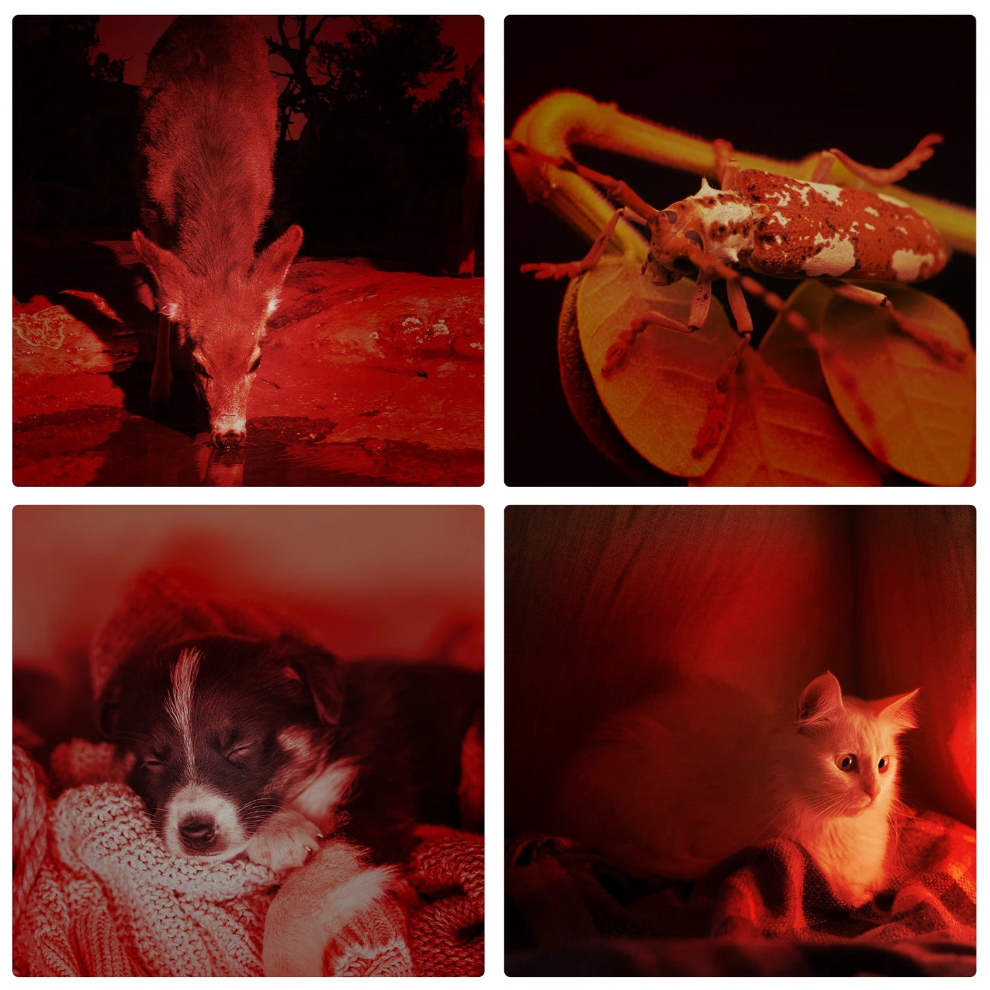 KentDO™ Red Light Therapy Wand – Portable Skin Healing Pen