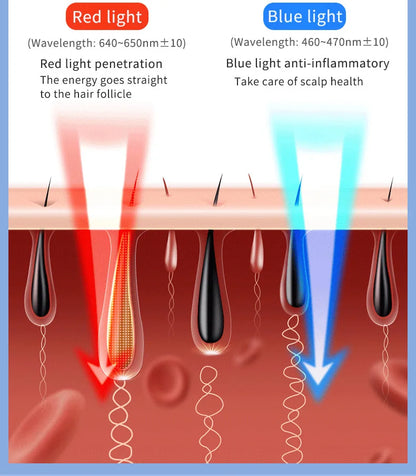 KentDO™ Electric Spray Massage Comb