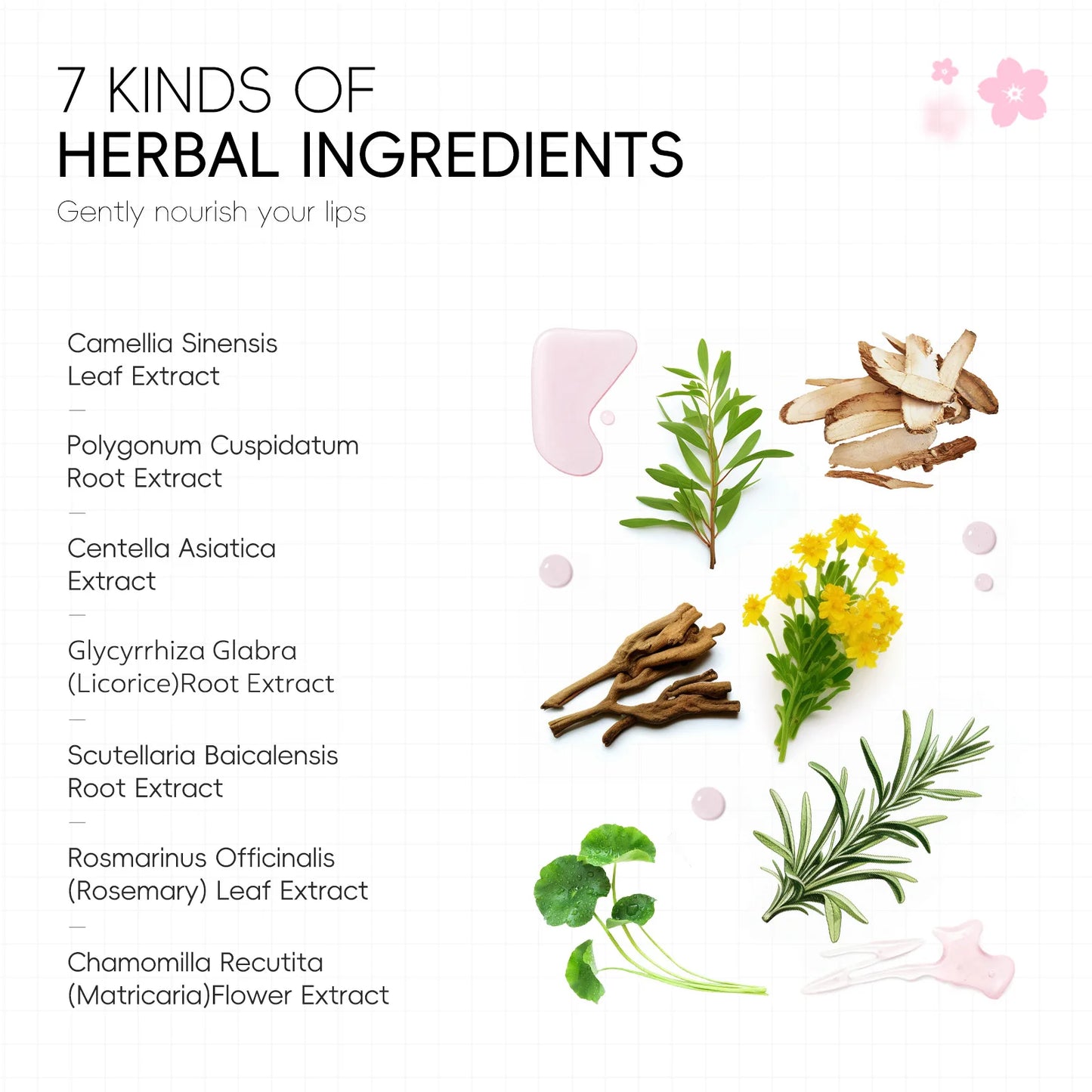 KentDO™ Cherry Blossom Lip Mask – Hydrating & Exfoliating Care